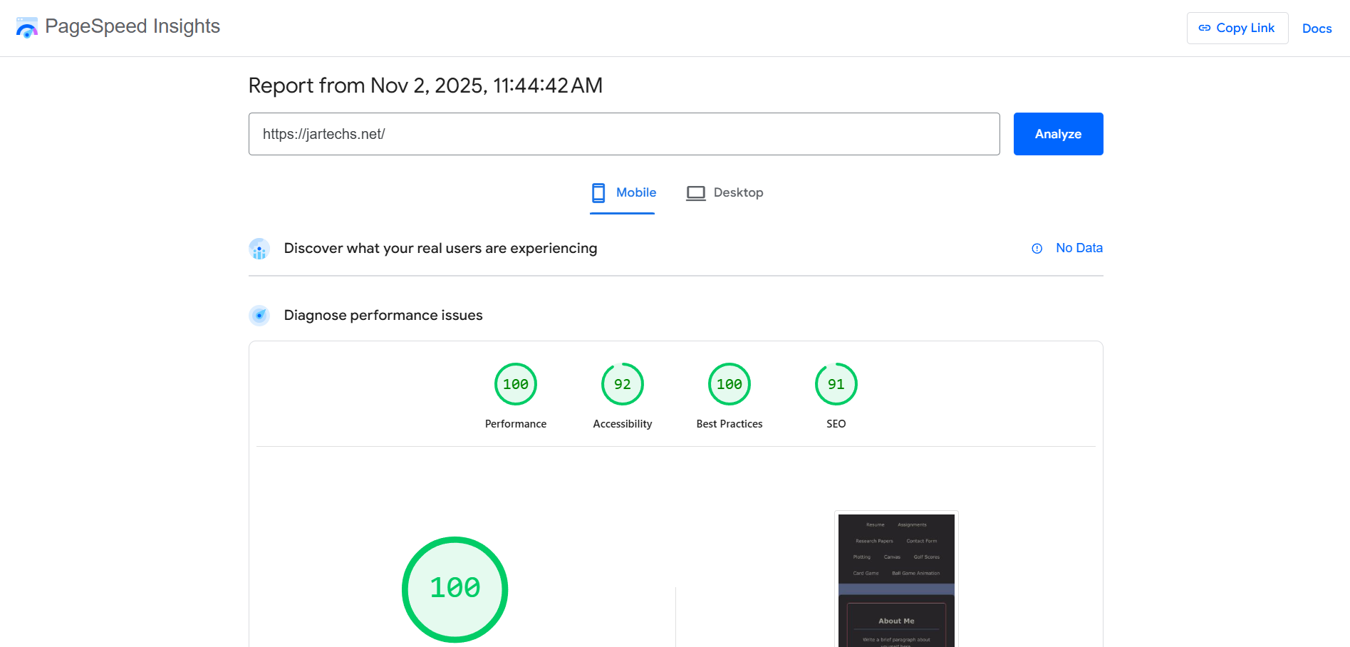 PageSpeed Insights Mobile Report 1